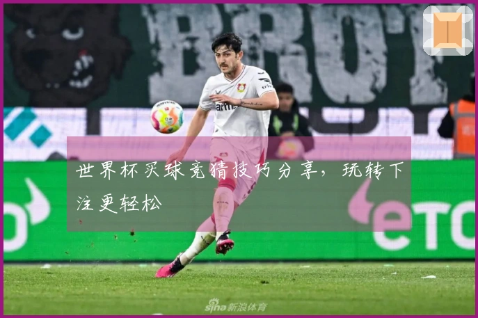 世界杯买球竞猜技巧分享，玩转下注更轻松